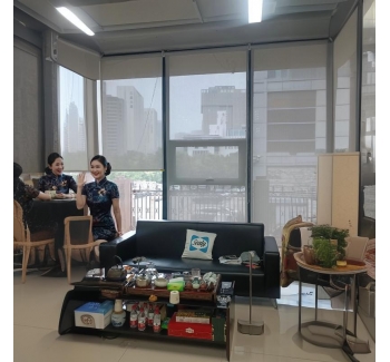 遮阳透景灰色